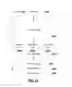 Fig. 20 - SPARSE CODING USING NEUROMORPHIC COMPUTING