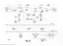 Fig. 35 - Network traversal using neuromorphic instantiations of spike-time-dependent plasticity