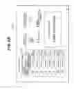 Fig. 06 - Turn Management System and Recording Medium Having Turn Management Program Recorded Thereon