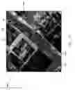 Fig. 07 - Cut line steering methods for forming a mosaic image of a geographical area