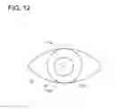 Fig. 12 - Ophthalmic apparatus