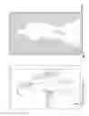 Fig. 04 - Intelligent auto-cropping of images