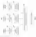 Fig. 06 - Online learning enhanced atlas-based auto-segmentation