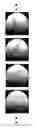 Fig. 01 - Device for measuring rotation of spherical body, measurement method, and program
