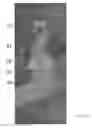 Fig. 06 - Vehicle camera calibration system