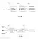 Fig. 06 - Systems and methods for animating models from audio data