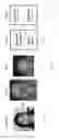 Fig. 12 - Systems and methods for animating models from audio data