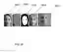 Fig. 27 - Systems and methods for animating models from audio data