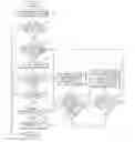 Fig. 01 - Apparatus and method for determining toll gate section