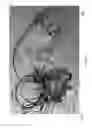 Fig. 06 - Medical training and performance assessment instruments, methods, and systems