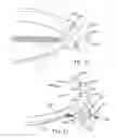 Fig. 11 - Magnetic throw-off floating attachment