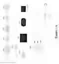 Fig. 03 - Network musical instrument