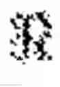 Fig. 05 - Complex linear projection for acoustic modeling