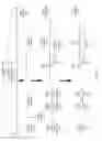 Fig. 06 - Associating faces with voices for speaker diarization within videos