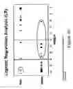 Fig. 31 - System and method for assessing expressive language development of a key child
