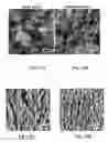 Fig. 13 - Stretchable composite conductors for flexible electronics, stretchable plasmonic devices, optical filters, and implantable devices and methods for manufacture thereof