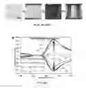 Fig. 20 - Stretchable composite conductors for flexible electronics, stretchable plasmonic devices, optical filters, and implantable devices and methods for manufacture thereof