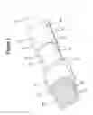 Fig. 02 - Grommet and wire harness with grommet