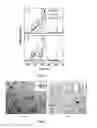 Fig. 04 - Permanent magnet material and method for preparing the same