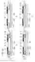Fig. 31 - Electronic device including non-contact charging module and near field communication antenna