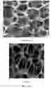 Fig. 09 - Continuous process for producing electrodes for supercapacitors having high energy densities