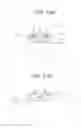 Fig. 03 - Charged particle device, charged particle irradiation method, and analysis device