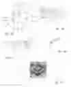 Fig. 04 - Compression member for use in showerhead electrode assembly