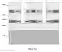 Fig. 12 - Selective oxidation of transition metal nitride layers within compound semiconductor device structures