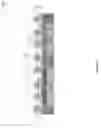 Fig. 20 - Fan-out structure and method of fabricating the same