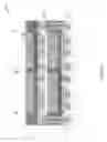 Fig. 33 - Fan-out structure and method of fabricating the same