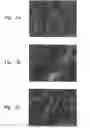 Fig. 03 - Semiconductor processing apparatus with a ceramic-comprising surface which exhibits fracture toughness and halogen plasma resistance