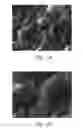 Fig. 07 - Semiconductor processing apparatus with a ceramic-comprising surface which exhibits fracture toughness and halogen plasma resistance