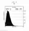Fig. 06 - Barrier layers in trenches and vias