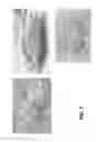 Fig. 13 - Transfer printed device repair