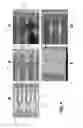 Fig. 15 - Transfer printed device repair