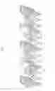 Fig. 08 - Memory device and method of disposing conduction lines of the same