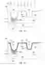 Fig. 07 - Conductive structure and method of forming the same