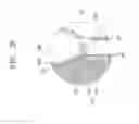 Fig. 06 - Semiconductor memory device having capping pattern defining top surface of air gap