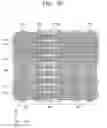 Fig. 31 - Planarized interlayer dielectric with air gap isolation