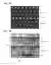 Fig. 04 - Oxide semiconductor film and semiconductor device