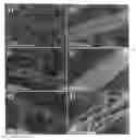 Fig. 01 - A Nanowire Heterostructure