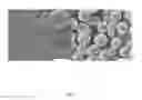 Fig. 02 - METHOD FOR PREPARING NEGATIVE ELECTRODE OF LITHIUM ION BATTERY AND LITHIUM ION BATTERY
