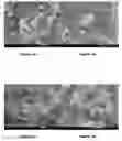 Fig. 02 - Lithium-sulfur battery