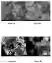 Fig. 03 - Lithium-sulfur battery