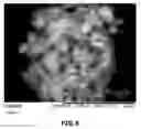 Fig. 04 - Lithium-sulfur battery