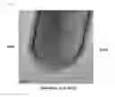 Fig. 03 - Manganese oxide nano-rods in the form of a core-shell, a method for producing the same, and an active material for a secondary battery comprising the same
