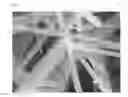 Fig. 04 - Manganese oxide nano-rods in the form of a core-shell, a method for producing the same, and an active material for a secondary battery comprising the same