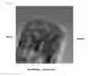 Fig. 06 - Manganese oxide nano-rods in the form of a core-shell, a method for producing the same, and an active material for a secondary battery comprising the same