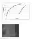 Fig. 09 - Fibrous carbon, method for manufacturing same, electrode mixture layer for non-aqueous-electrolyte secondary cell, electrode for non-aqueous-electrolyte secondary cell, and non-aqueous-electrolyte secondary cell