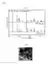 Fig. 07 - CELL, FUEL CELL STACK, FUEL CELL SYSTEM, AND MEMBRANE ELECTRODE ASSEMBLY